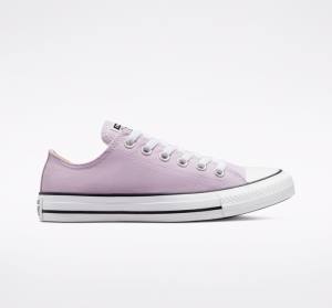 Trampki Niskie Converse Chuck Taylor All Star Seasonal Color Lawenda | CV-794UEB