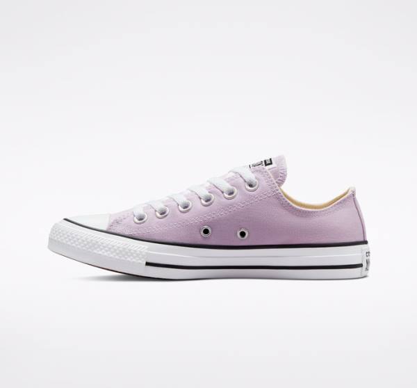 Trampki Niskie Converse Chuck Taylor All Star Seasonal Color Lawenda | CV-165OAT